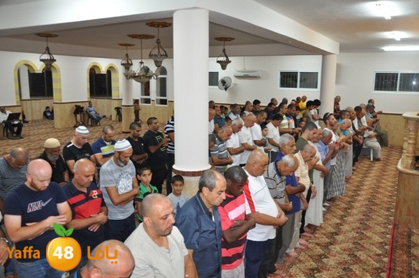 msajed amer qder 804 (2).JPG